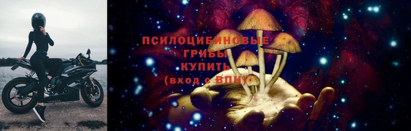 прущие грибы Алзамай