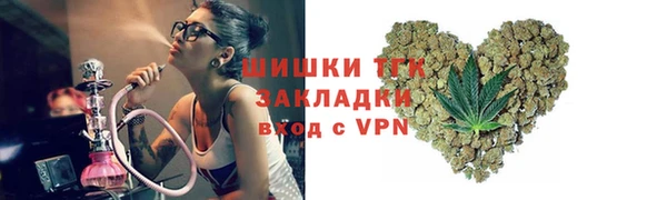 прущие грибы Алзамай
