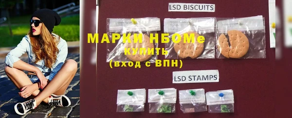 прущие грибы Алзамай