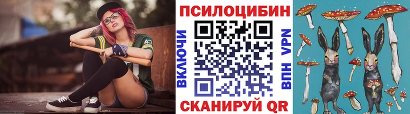 купить наркотики цена  Балашов  Галлюциногенные грибы Magic Shrooms 