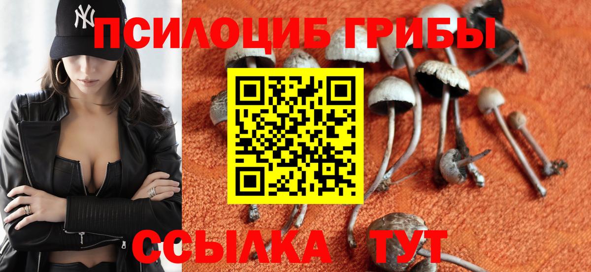 Галлюциногенные грибы ЛСД  Вход с VPN  Балашов  Псилоцибиновые грибы ЛСД 