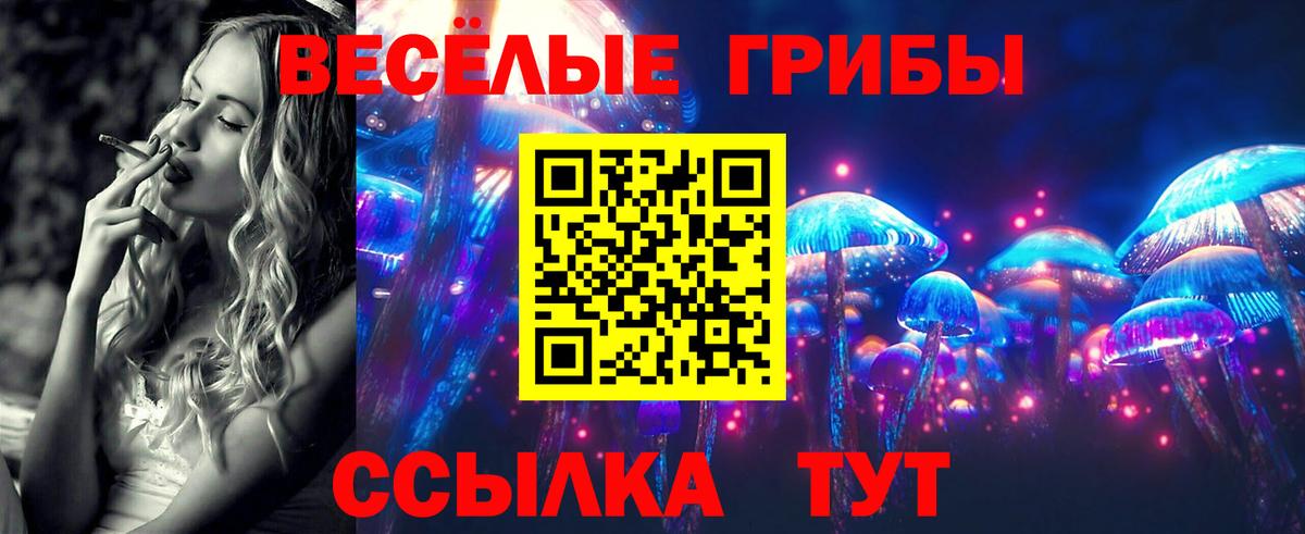 Галлюциногенные грибы прущие грибы Балашов