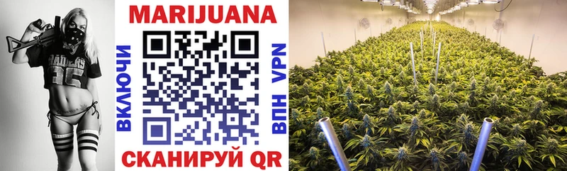 Конопля THC 21%  как найти закладки  Балашов 